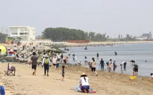 Two young Vietnamese people save two Japanese children.