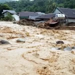 日本と韓国、台風「ヤギ」被災のベトナムへ支援