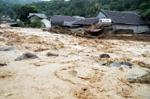 日本と韓国、台風「ヤギ」被災のベトナムへ支援