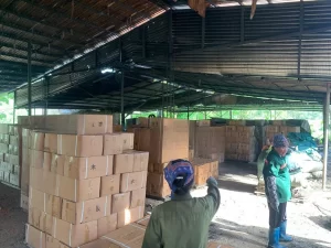 “Charcoal Export Performance” — Report and Appreciation on the Export Results of Barbecue Charcoal in September 2025.