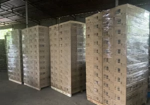 [Delivery Record] Report on Acacia Firewood Export Performance in August 2025